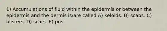 1) Accumulations of fluid within the epidermis or between the epidermis and the dermis is/are called A) keloids. B) scabs. C) blisters. D) scars. E) pus.