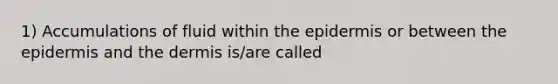 1) Accumulations of fluid within the epidermis or between the epidermis and the dermis is/are called