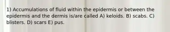 1) Accumulations of fluid within the epidermis or between the epidermis and the dermis is/are called A) keloids. B) scabs. C) blisters. D) scars E) pus.