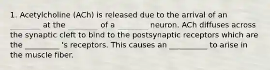 1. Acetylcholine (ACh) is released due to the arrival of an ________ at the ________ of a ________ neuron. ACh diffuses across the synaptic cleft to bind to the postsynaptic receptors which are the _________ 's receptors. This causes an __________ to arise in the muscle fiber.