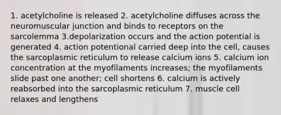 1. acetylcholine is released 2. acetylcholine diffuses across the neuromuscular junction and binds to receptors on the sarcolemma 3.depolarization occurs and the action potential is generated 4. action potentional carried deep into the cell, causes the sarcoplasmic reticulum to release calcium ions 5. calcium ion concentration at the myofilaments increases; the myofilaments slide past one another; cell shortens 6. calcium is actively reabsorbed into the sarcoplasmic reticulum 7. muscle cell relaxes and lengthens