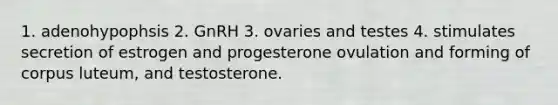 1. adenohypophsis 2. GnRH 3. ovaries and testes 4. stimulates secretion of estrogen and progesterone ovulation and forming of corpus luteum, and testosterone.