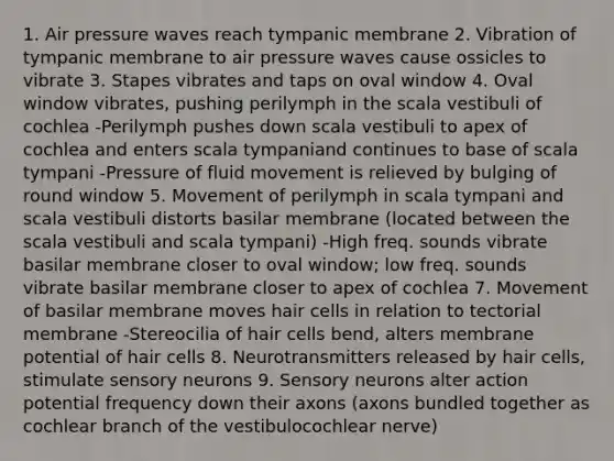 1. Air pressure waves reach tympanic membrane 2. Vibration of tympanic membrane to air pressure waves cause ossicles to vibrate 3. Stapes vibrates and taps on oval window 4. Oval window vibrates, pushing perilymph in the scala vestibuli of cochlea -Perilymph pushes down scala vestibuli to apex of cochlea and enters scala tympaniand continues to base of scala tympani -Pressure of fluid movement is relieved by bulging of round window 5. Movement of perilymph in scala tympani and scala vestibuli distorts basilar membrane (located between the scala vestibuli and scala tympani) -High freq. sounds vibrate basilar membrane closer to oval window; low freq. sounds vibrate basilar membrane closer to apex of cochlea 7. Movement of basilar membrane moves hair cells in relation to tectorial membrane -Stereocilia of hair cells bend, alters membrane potential of hair cells 8. Neurotransmitters released by hair cells, stimulate sensory neurons 9. Sensory neurons alter action potential frequency down their axons (axons bundled together as cochlear branch of the vestibulocochlear nerve)