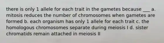 there is only 1 allele for each trait in the gametes because ___ a. mitosis reduces the number of chromosomes when gametes are formed b. each organism has only 1 allele for each trait c. the homologous chromosomes separate during meiosis I d. sister chromatids remain attached in meiosis II