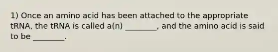 1) Once an amino acid has been attached to the appropriate tRNA, the tRNA is called a(n) ________, and the amino acid is said to be ________.