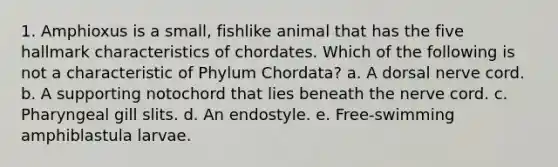 1. Amphioxus is a small, fishlike animal that has the five hallmark characteristics of chordates. Which of the following is not a characteristic of Phylum Chordata? a. A dorsal nerve cord. b. A supporting notochord that lies beneath the nerve cord. c. Pharyngeal gill slits. d. An endostyle. e. Free-swimming amphiblastula larvae.