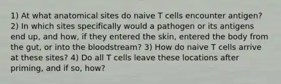 1) At what anatomical sites do naive T cells encounter antigen? 2) In which sites specifically would a pathogen or its antigens end up, and how, if they entered the skin, entered the body from the gut, or into the bloodstream? 3) How do naive T cells arrive at these sites? 4) Do all T cells leave these locations after priming, and if so, how?