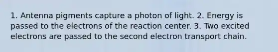 1. Antenna pigments capture a photon of light. 2. Energy is passed to the electrons of the reaction center. 3. Two excited electrons are passed to the second electron transport chain.