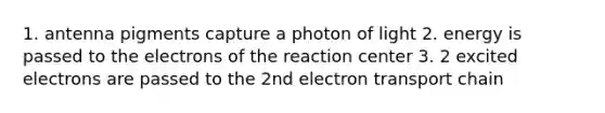 1. antenna pigments capture a photon of light 2. energy is passed to the electrons of the reaction center 3. 2 excited electrons are passed to the 2nd electron transport chain