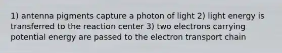 1) antenna pigments capture a photon of light 2) light energy is transferred to the reaction center 3) two electrons carrying potential energy are passed to the electron transport chain