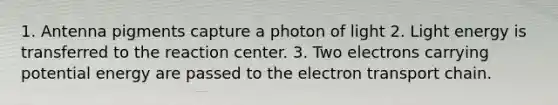 1. Antenna pigments capture a photon of light 2. Light energy is transferred to the reaction center. 3. Two electrons carrying potential energy are passed to the electron transport chain.