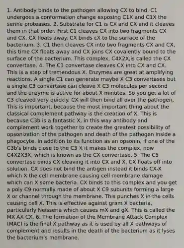 1. Antibody binds to the pathogen allowing CX to bind. C1 undergoes a conformation change exposing C1X and C1X the serine proteases. 2. Substrate for C1 is CX and CX and it cleaves them in that order. First C1 cleaves CX into two fragments CX and CX. CX floats away. CX binds cX to the surface of the bacterium. 3. C1 then cleaves CX into two fragments CX and CX, this time CX floats away and CX joins CX covalently bound to the surface of the bacterium. This complex, C4X2X,is called the CX convertase. 4. The C3 convertase cleaves CX into CX and CX. This is a step of tremendous X. Enzymes are great at amplifying reactions. A single C1 can generate maybe X C3 convertases but a single C3 convertase can cleave X C3 molecules per second and the enzyme is active for about X minutes. So you get a lot of C3 cleaved very quickly. CX will then bind all over the pathogen. This is important, because the most important thing about the classical complement pathway is the creation of X. This is because C3b is a fantastic X, in this way antibody and complement work together to create the greatest possibility of opsonization of the pathogen and death of the pathogen inside a phagocyte. In addition to its function as an opsonin, if one of the C3b's binds close to the C3 X it makes the complex, now C4X2X3X, which is known as the CX convertase. 5. The C5 convertase binds CX cleaving it into CX and X. CX floats off into solution. CX does not bind the antigen instead it binds CX-X which X the cell membrane causing cell membrane damage which can X some bacteria. CX binds to this complex and you get a poly C9 normally made of about X C9 subunits forming a large X or channel through the membrane. This punches X in the cells causing cell X. This is effective against gram X bacteria, particularly Neisseria which causes mX and gX. This is called the MX AX CX. 6. The formation of the Membrane Attack Complex (MAC) is the final X pathway as it is used by all X pathways of complement and results in the death of the bacterium as it lyses the bacterium's membrane.