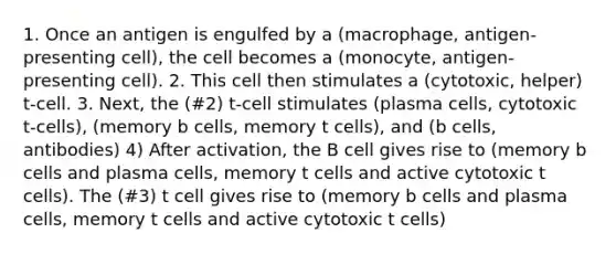 1. Once an antigen is engulfed by a (macrophage, antigen-presenting cell), the cell becomes a (monocyte, antigen-presenting cell). 2. This cell then stimulates a (cytotoxic, helper) t-cell. 3. Next, the (#2) t-cell stimulates (plasma cells, cytotoxic t-cells), (memory b cells, memory t cells), and (b cells, antibodies) 4) After activation, the B cell gives rise to (memory b cells and plasma cells, memory t cells and active cytotoxic t cells). The (#3) t cell gives rise to (memory b cells and plasma cells, memory t cells and active cytotoxic t cells)