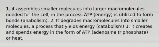 1. it assembles smaller molecules into larger macromolecules needed for the cell; in the process ATP (energy) is utilized to form bonds (anabolism). 2. It degrades macromolecules into smaller molecules, a process that yields energy (catabolism) 3. it creates and spends energy in the form of ATP (adenosine triphosphate) or heat.