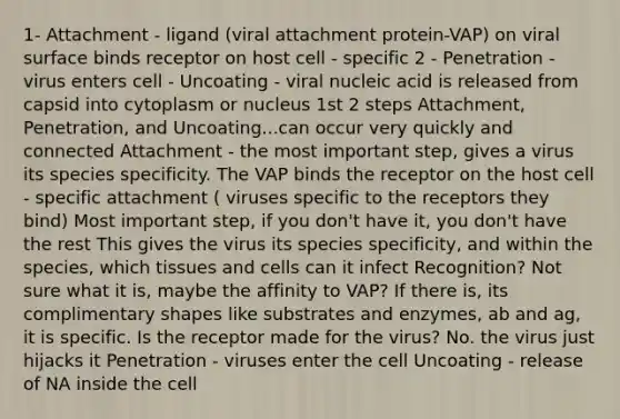 1- Attachment - ligand (viral attachment protein-VAP) on viral surface binds receptor on host cell - specific 2 - Penetration - virus enters cell - Uncoating - viral nucleic acid is released from capsid into cytoplasm or nucleus 1st 2 steps Attachment, Penetration, and Uncoating...can occur very quickly and connected Attachment - the most important step, gives a virus its species specificity. The VAP binds the receptor on the host cell - specific attachment ( viruses specific to the receptors they bind) Most important step, if you don't have it, you don't have the rest This gives the virus its species specificity, and within the species, which tissues and cells can it infect Recognition? Not sure what it is, maybe the affinity to VAP? If there is, its complimentary shapes like substrates and enzymes, ab and ag, it is specific. Is the receptor made for the virus? No. the virus just hijacks it Penetration - viruses enter the cell Uncoating - release of NA inside the cell