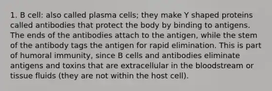 1. B cell: also called plasma cells; they make Y shaped proteins called antibodies that protect the body by binding to antigens. The ends of the antibodies attach to the antigen, while the stem of the antibody tags the antigen for rapid elimination. This is part of humoral immunity, since B cells and antibodies eliminate antigens and toxins that are extracellular in the bloodstream or tissue fluids (they are not within the host cell).