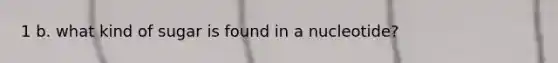 1 b. what kind of sugar is found in a nucleotide?