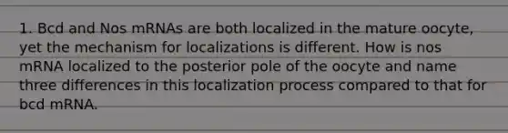 1. Bcd and Nos mRNAs are both localized in the mature oocyte, yet the mechanism for localizations is different. How is nos mRNA localized to the posterior pole of the oocyte and name three differences in this localization process compared to that for bcd mRNA.