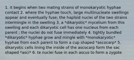 1. it begins when two mating strains of monokaryotic hyphae contact 2. where the hyphae touch, large multinucleate swellings appear and eventually fuse; the haploid nuclei of the two strains intermingle in the swelling 3. a *dikaryotic* mycelium from this swelling and each dikaryotic cell has one nucleus from each parent ; the nuclei do not fuse immediately 4. tightly bundled *dikaryotic* hyphae grow and mingle with *monokaryotic* hyphae from each parent to form a cup shaped *ascocarp* 5. dikaryotic cells lining the inside of the ascocarp form the sac shaped *asci* 6. te nuclei fuse in each ascus to form a zygote