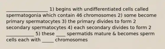 __________________ 1) begins with undifferentiated cells called spermatogonia which contain 46 chromosomes 2) some become primary spermatocytes 3) the primary divides to form 2 secondary spermatocytes 4) each secondary divides to form 2 ____________ 5) these ____ spermatids mature & becomes sperm cells each with _____ chromosomes