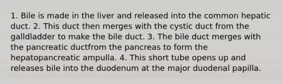 1. Bile is made in the liver and released into the common hepatic duct. 2. This duct then merges with the cystic duct from the galldladder to make the bile duct. 3. The bile duct merges with the pancreatic ductfrom the pancreas to form the hepatopancreatic ampulla. 4. This short tube opens up and releases bile into the duodenum at the major duodenal papilla.