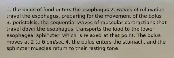 1. the bolus of food enters the esophagus 2. waves of relaxation travel the esophagus, preparing for the movement of the bolus 3. peristalsis, the sequential waves of muscular contractions that travel down the esophagus, transports the food to the lower esophageal sphincter, which is relaxed at that point. The bolus moves at 2 to 6 cm/sec 4. the bolus enters the stomach, and the sphincter muscles return to their resting tone