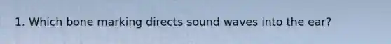 1. Which bone marking directs sound waves into the ear?