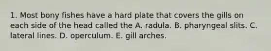 1. Most bony fishes have a hard plate that covers the gills on each side of the head called the A. radula. B. pharyngeal slits. C. lateral lines. D. operculum. E. gill arches.