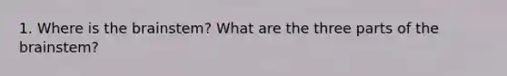 1. Where is the brainstem? What are the three parts of the brainstem?