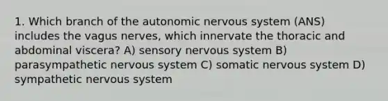 1. Which branch of the autonomic nervous system (ANS) includes the vagus nerves, which innervate the thoracic and abdominal viscera? A) sensory nervous system B) parasympathetic nervous system C) somatic nervous system D) sympathetic nervous system