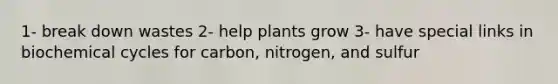 1- break down wastes 2- help plants grow 3- have special links in biochemical cycles for carbon, nitrogen, and sulfur