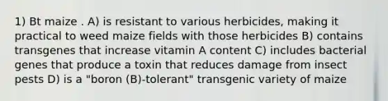 1) Bt maize . A) is resistant to various herbicides, making it practical to weed maize fields with those herbicides B) contains transgenes that increase vitamin A content C) includes bacterial genes that produce a toxin that reduces damage from insect pests D) is a "boron (B)-tolerant" transgenic variety of maize