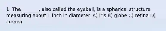 1. The _______, also called the eyeball, is a spherical structure measuring about 1 inch in diameter. A) iris B) globe C) retina D) cornea