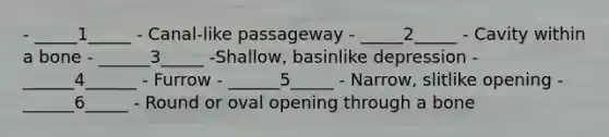 - _____1_____ - Canal-like passageway - _____2_____ - Cavity within a bone - ______3_____ -Shallow, basinlike depression - ______4______ - Furrow - ______5_____ - Narrow, slitlike opening -______6_____ - Round or oval opening through a bone