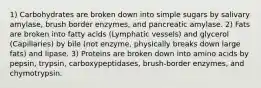 1) Carbohydrates are broken down into simple sugars by salivary amylase, brush border enzymes, and pancreatic amylase. 2) Fats are broken into fatty acids (Lymphatic vessels) and glycerol (Capillaries) by bile (not enzyme, physically breaks down large fats) and lipase. 3) Proteins are broken down into amino acids by pepsin, trypsin, carboxypeptidases, brush-border enzymes, and chymotrypsin.