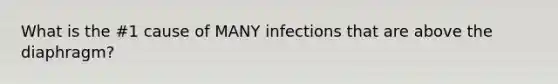 What is the #1 cause of MANY infections that are above the diaphragm?