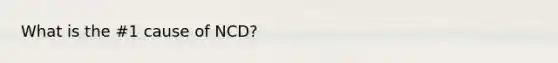 What is the #1 cause of NCD?