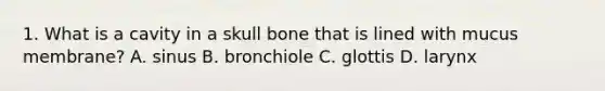 1. What is a cavity in a skull bone that is lined with mucus membrane? A. sinus B. bronchiole C. glottis D. larynx