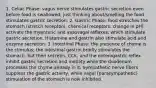 1. Celiac Phase: vagus nerve stimulates gastric secretion even before food is swallowed; just thinking about/smelling the food stimulates gastric secretion. 2. Gastric Phase: food stretches the stomach (stretch receptors, chemical receptors, change in pH) activate the myenteric and vasovagal reflexes, which stimulate gastric secretion. Histamine and gastrin also stimulate acid and enzyme secretion. 3. Intestinal Phase: the presence of chyme is the stimulus; the intestinal gastrin briefly stimulates the stomach, but then secretin, CCK, and the enterogastric reflex inhibit gastric secretion and motility while the duodenum processes the chyme already in it. Sympathetic nerve fibers suppress the gastric activity, while vagal (parasympathetic) stimulation of the stomach is now inhibited.