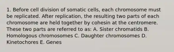 1. Before cell division of somatic cells, each chromosome must be replicated. After replication, the resulting two parts of each chromosome are held together by cohesin at the centromere. These two parts are referred to as: A. Sister chromatids B. Homologous chromosomes C. Daughter chromosomes D. Kinetochores E. Genes