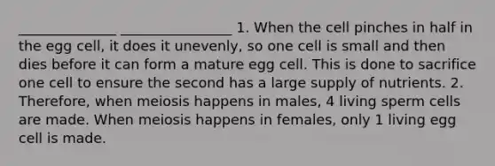 ______________ ________________ 1. When the cell pinches in half in the egg cell, it does it unevenly, so one cell is small and then dies before it can form a mature egg cell. This is done to sacrifice one cell to ensure the second has a large supply of nutrients. 2. Therefore, when meiosis happens in males, 4 living sperm cells are made. When meiosis happens in females, only 1 living egg cell is made.