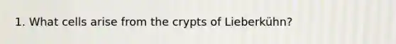 1. What cells arise from the crypts of Lieberkühn?