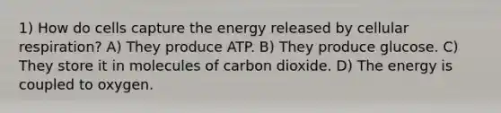 1) How do cells capture the energy released by cellular respiration? A) They produce ATP. B) They produce glucose. C) They store it in molecules of carbon dioxide. D) The energy is coupled to oxygen.