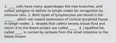 1. ____ cells have many appendages like tree branches, and collect antigens to deliver to lymph nodes for recognition by immune cells. 2. Both types of lymphocytes are found in the ______ , which are inward extensions of cortical lymphoid tissue in lymph nodes. 3. Vessels that collect excess tissue fluid and return it to the blood stream are called _____. 4. Liquefied fat, called ____, is carried by lacteals from the small intestine to the blood stream.