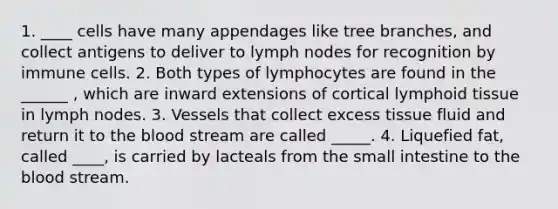 1. ____ cells have many appendages like tree branches, and collect antigens to deliver to lymph nodes for recognition by immune cells. 2. Both types of lymphocytes are found in the ______ , which are inward extensions of cortical lymphoid tissue in lymph nodes. 3. Vessels that collect excess tissue fluid and return it to <a href='https://www.questionai.com/knowledge/k7oXMfj7lk-the-blood' class='anchor-knowledge'>the blood</a> stream are called _____. 4. Liquefied fat, called ____, is carried by lacteals from <a href='https://www.questionai.com/knowledge/kt623fh5xn-the-small-intestine' class='anchor-knowledge'>the small intestine</a> to the blood stream.