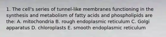 1. The cell's series of tunnel-like membranes functioning in the synthesis and metabolism of fatty acids and phospholipids are the: A. mitochondria B. rough endoplasmic reticulum C. Golgi apparatus D. chloroplasts E. smooth endoplasmic reticulum