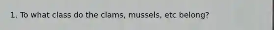 1. To what class do the clams, mussels, etc belong?