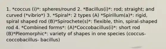 1. *coccus (i)*: spheres/round 2. *Bacillus(i)*: rod; straight; and curved (*vibrio*) 3. *Spiral*: 2 types (A) *Spirillum(a)*: rigid, spiral shaped rod (B)*Spirochete(s)*: flexible, thin, spiral-shaped rod 4. *Combined forms*: (A)*Coccobacillus(i)*: short rod (B)*Pleomorphic*: variety of shapes in one species (coccus- coccobacillus- bacillus)