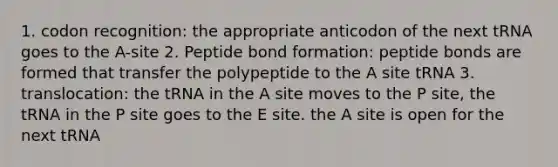 1. codon recognition: the appropriate anticodon of the next tRNA goes to the A-site 2. Peptide bond formation: peptide bonds are formed that transfer the polypeptide to the A site tRNA 3. translocation: the tRNA in the A site moves to the P site, the tRNA in the P site goes to the E site. the A site is open for the next tRNA