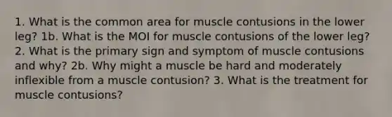 1. What is the common area for muscle contusions in the lower leg? 1b. What is the MOI for muscle contusions of the lower leg? 2. What is the primary sign and symptom of muscle contusions and why? 2b. Why might a muscle be hard and moderately inflexible from a muscle contusion? 3. What is the treatment for muscle contusions?